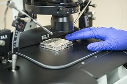 Фото:препараты для лечения муковисцидоза