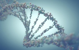 Фото: Мутация гена муковисцидоза